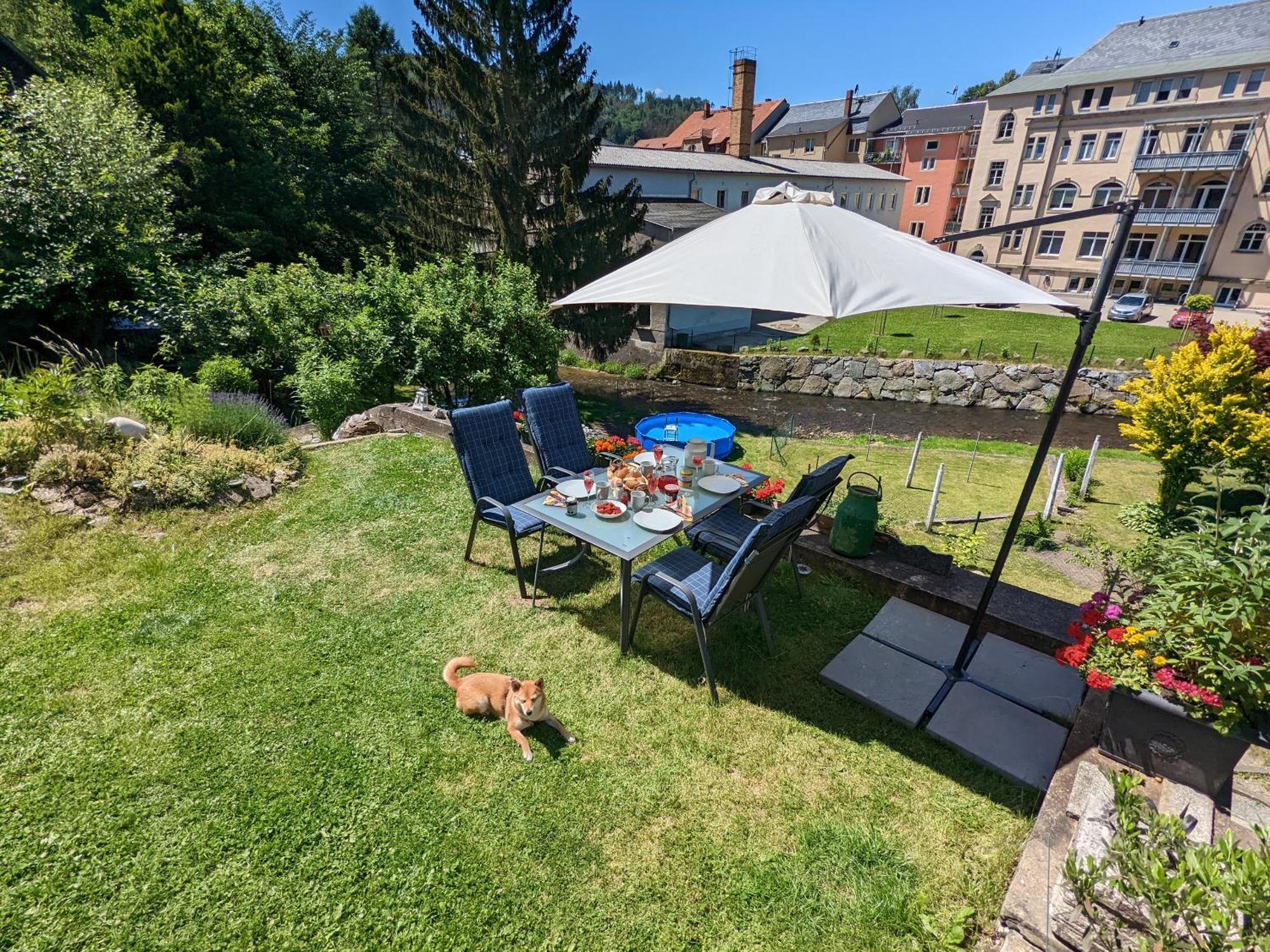 F3 Urlaubsmagie - Pool, Garten & Terrasse - 4P Sebnitz Dış mekan fotoğraf