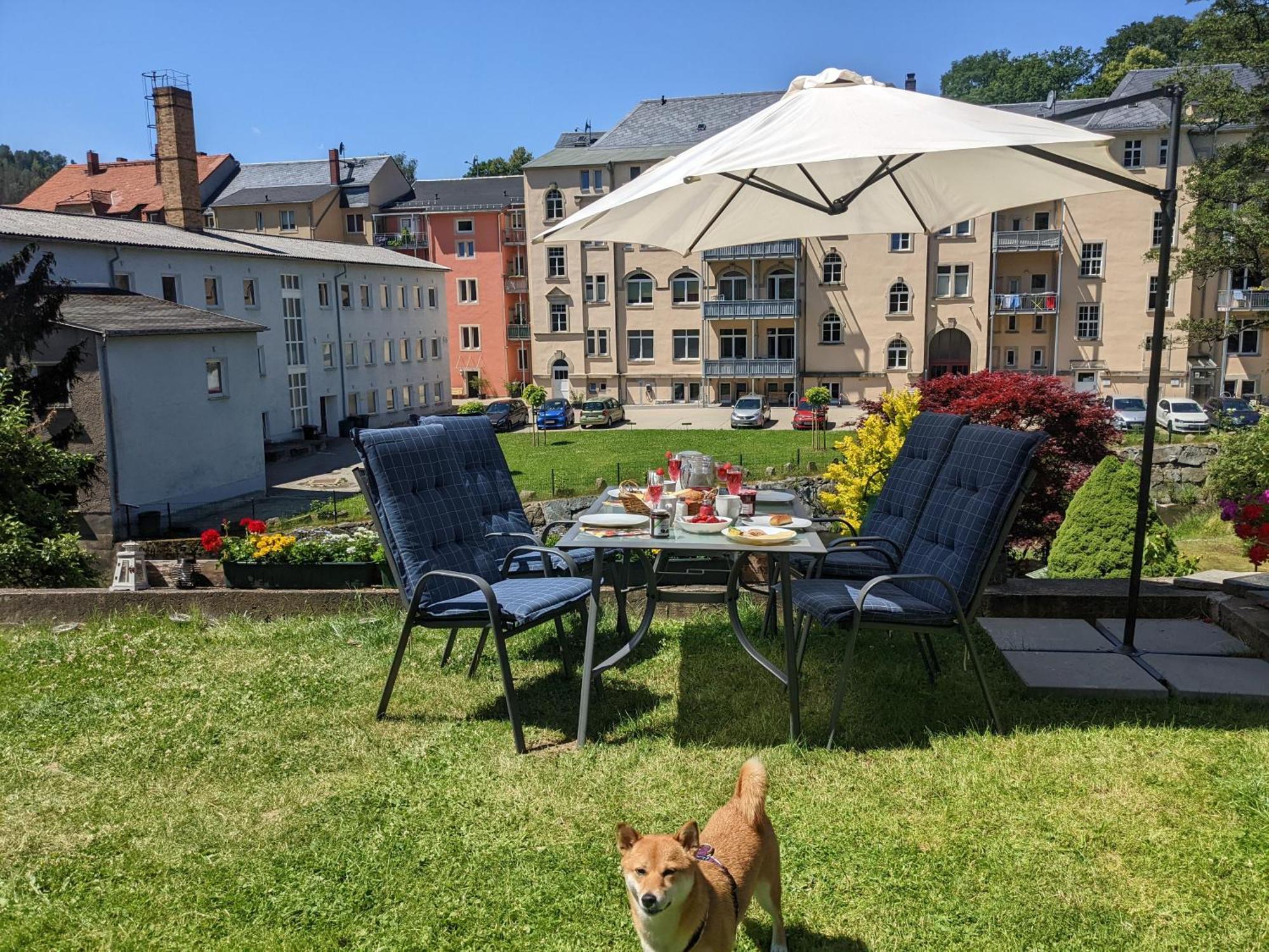 F3 Urlaubsmagie - Pool, Garten & Terrasse - 4P Sebnitz Dış mekan fotoğraf