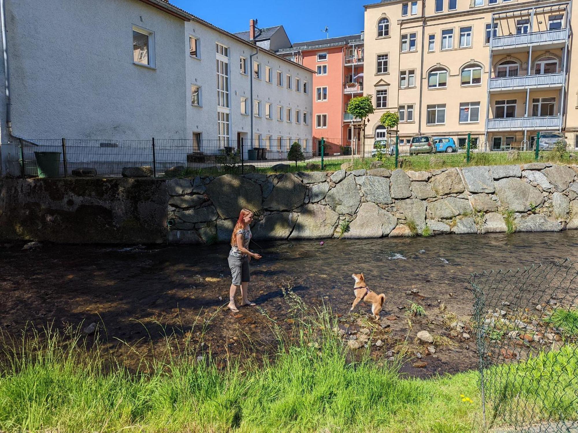 F3 Urlaubsmagie - Pool, Garten & Terrasse - 4P Sebnitz Dış mekan fotoğraf