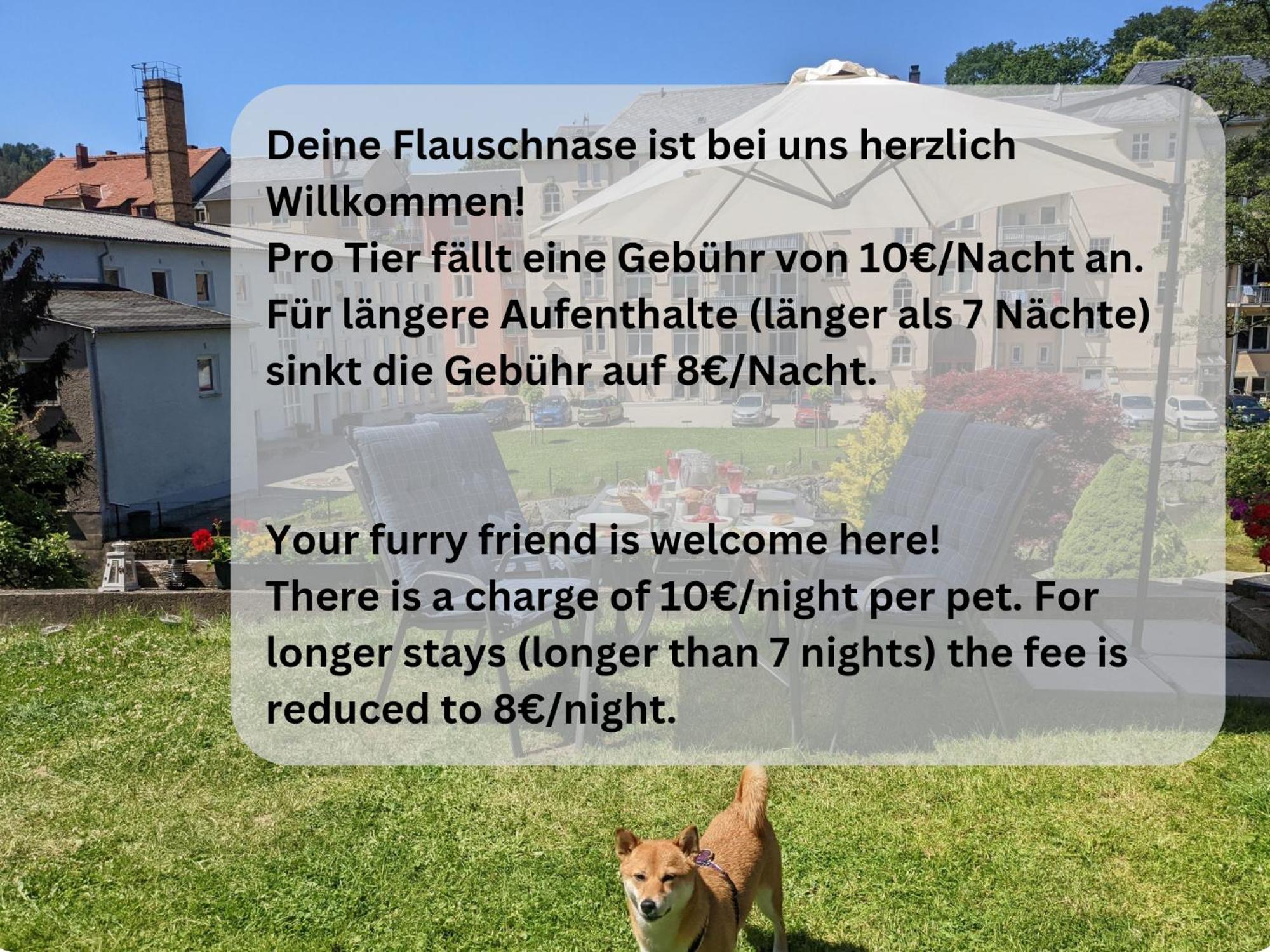 F3 Urlaubsmagie - Pool, Garten & Terrasse - 4P Sebnitz Dış mekan fotoğraf
